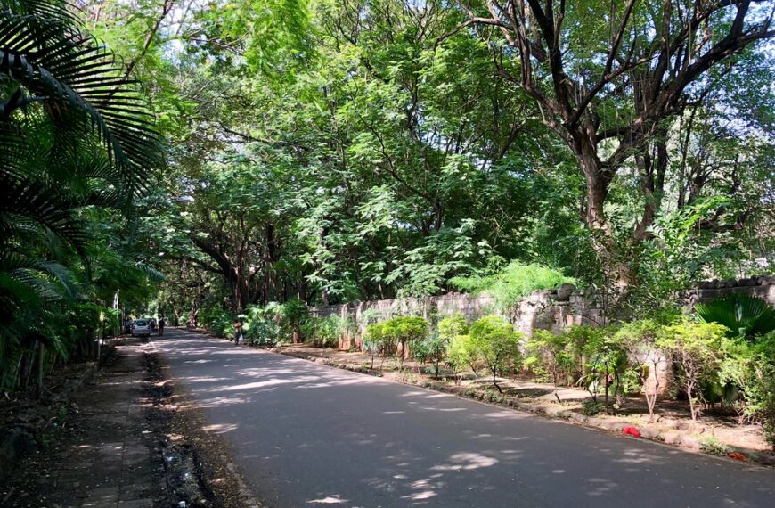 A Complete Guide to Living in Koregaon Park, Pune